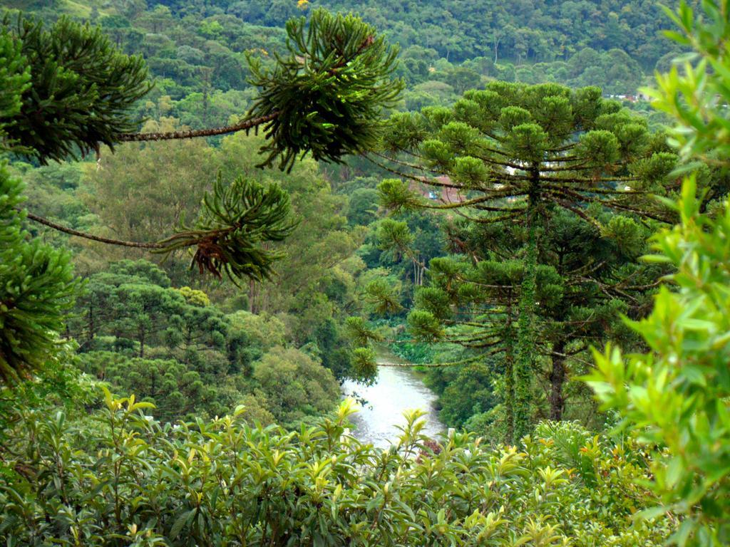 Pousada Lilaceas Visconde de Mauá Extérieur photo